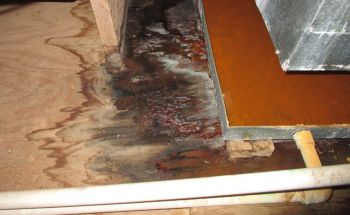 AC Leak Restoration in Utopia, New York by H2O Water Damage Restoration