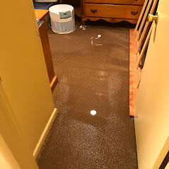 House Flood Water Removal & Restoration for Carpet Dry Out in Fresh Meadows, NY (1)