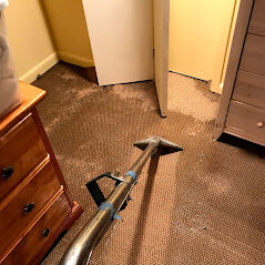 House Flood Water Removal & Restoration for Carpet Dry Out in Fresh Meadows, NY (2)